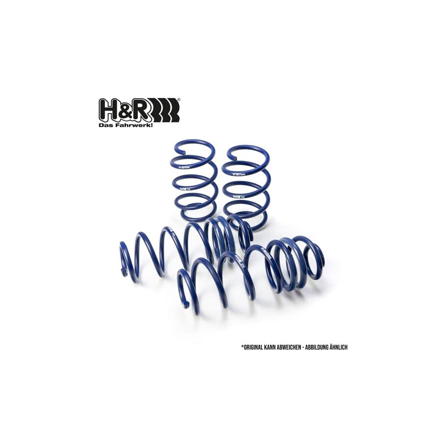 H&R 28594-1 Performance Lowering Springs | ML Performance EU Car Parts