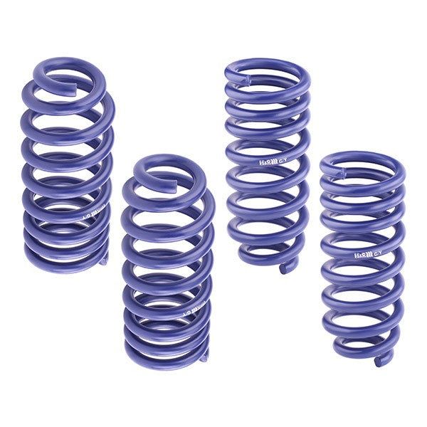 H&R 29844-2 Suspension kit, coil springs for HONDA Legend III Saloon (KA)