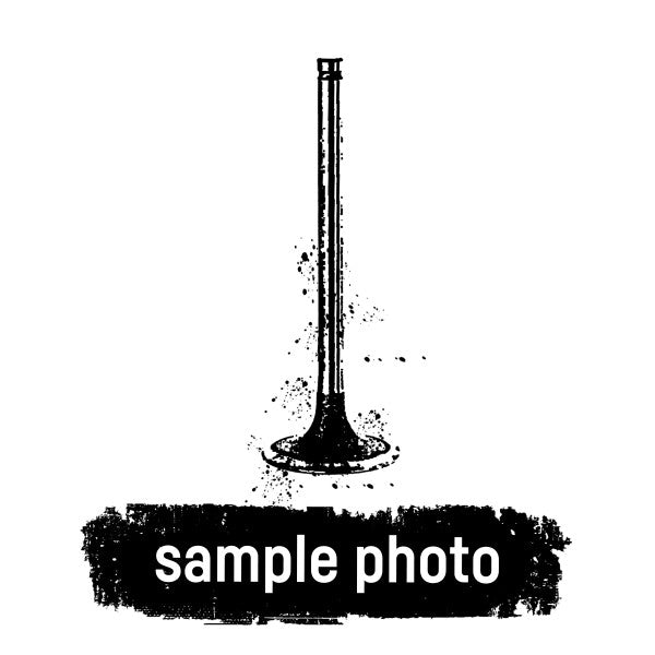 Mahle 021VA30332100 - Exhaust valve