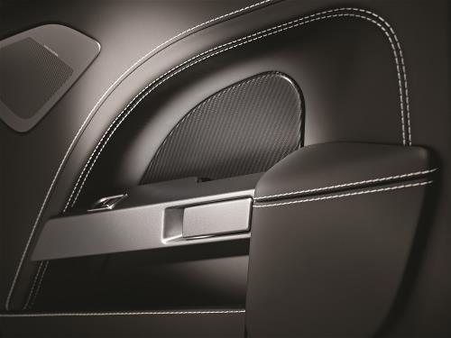 Aston Martin FD43-87-10152 Door Inserts Carbon Fibre - Front | ML Performance EU Car Parts