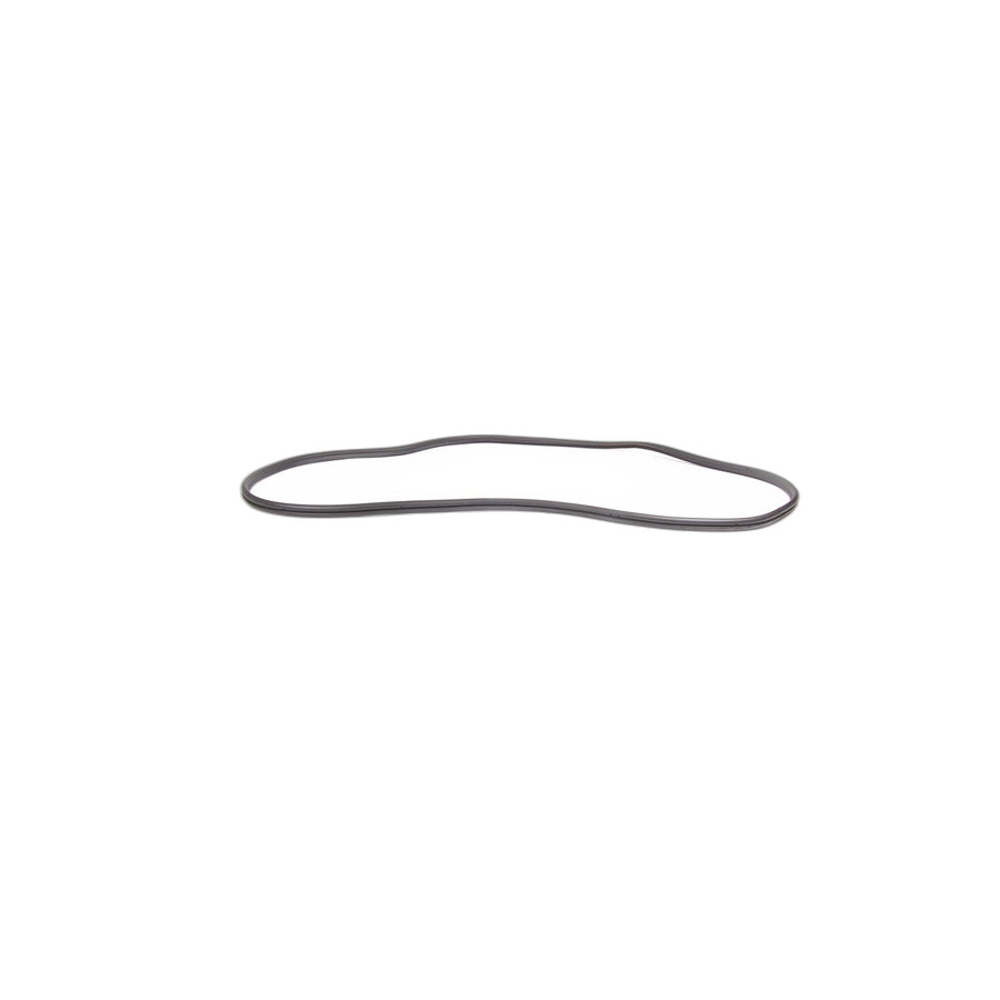 Genuine BMW 51718403231 E53 Trunk Lid Sealing (Inc. X5 4.4i, X5 4.6is & X5 3.0d) | ML Performance EU Car Parts