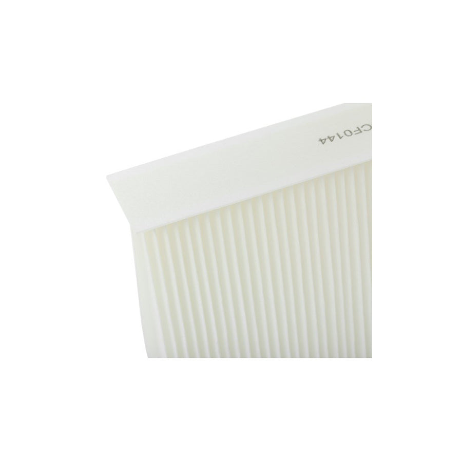 Champion CCF0144 Pollen Filter