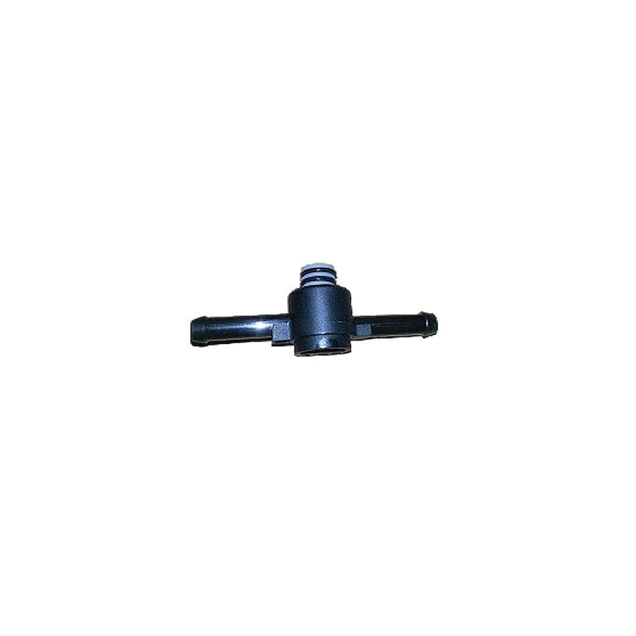 Bugiad BSP20456 Valve, Fuel Filter