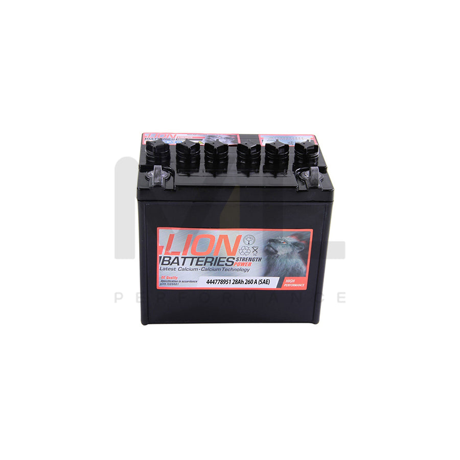 Lion 895 leisure / garden Machinery battery | ML Performance EU Car Parts