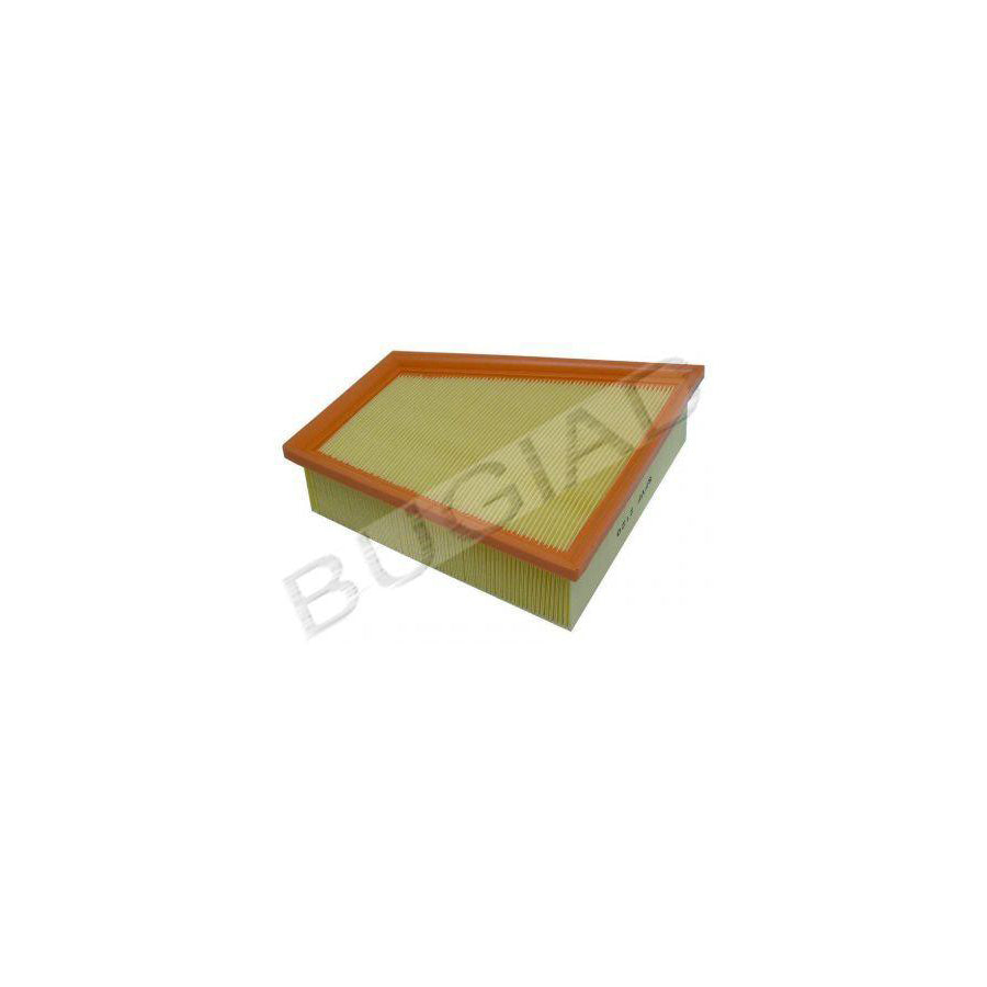 Bugiad BSP20664 Air Filter