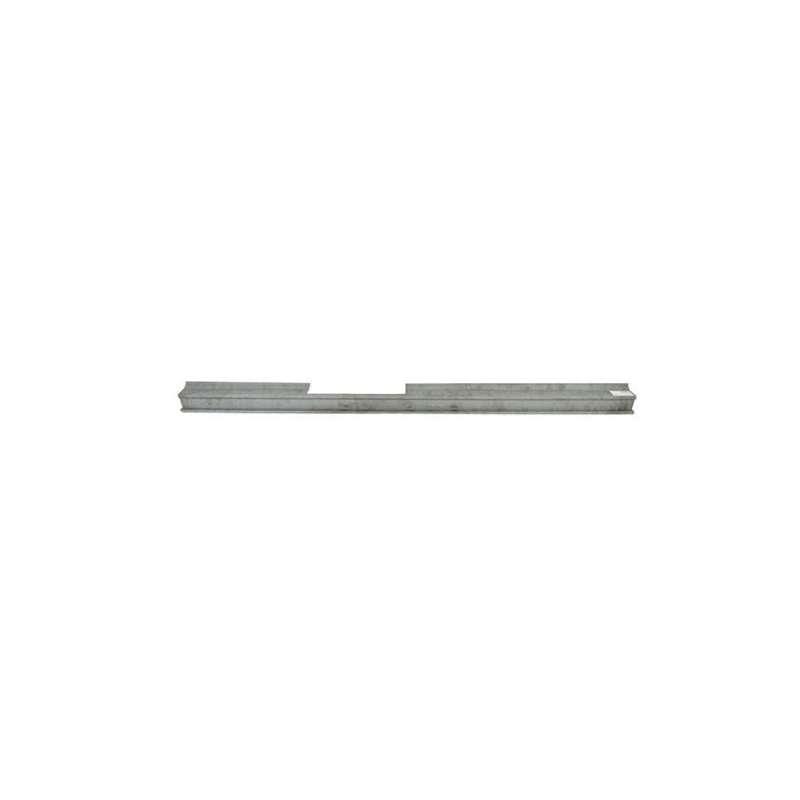 Blic 6505-06-2911018P Rocker Panel