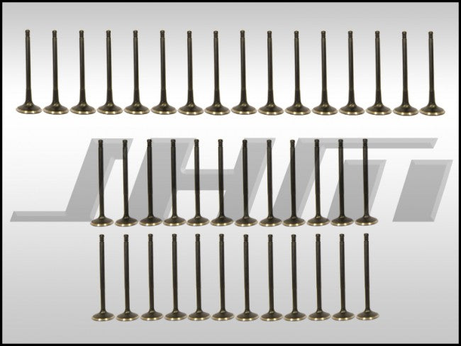 JHM JHM-B6B7S4VS HD Valve Set (JHM)-Intake and Exhaust-Heavy Duty-Coated for B6-B7 S4-C6 A6 and C5 allroad w chain 4.2L 40v