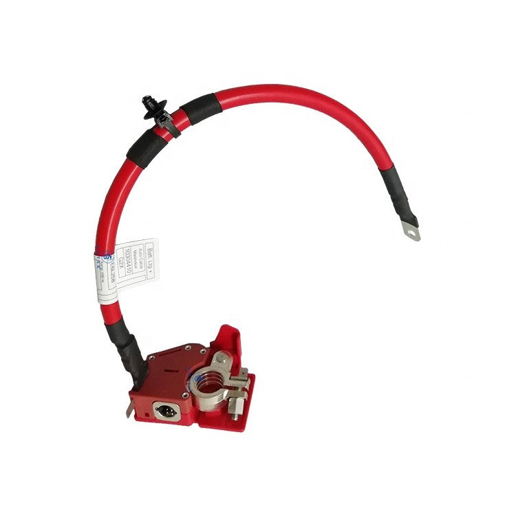 Genuine BMW 61128796155 61128796155 G20 G21 Positive Battery Cable (Inc. 318d, 320i, 330i, M340iX)