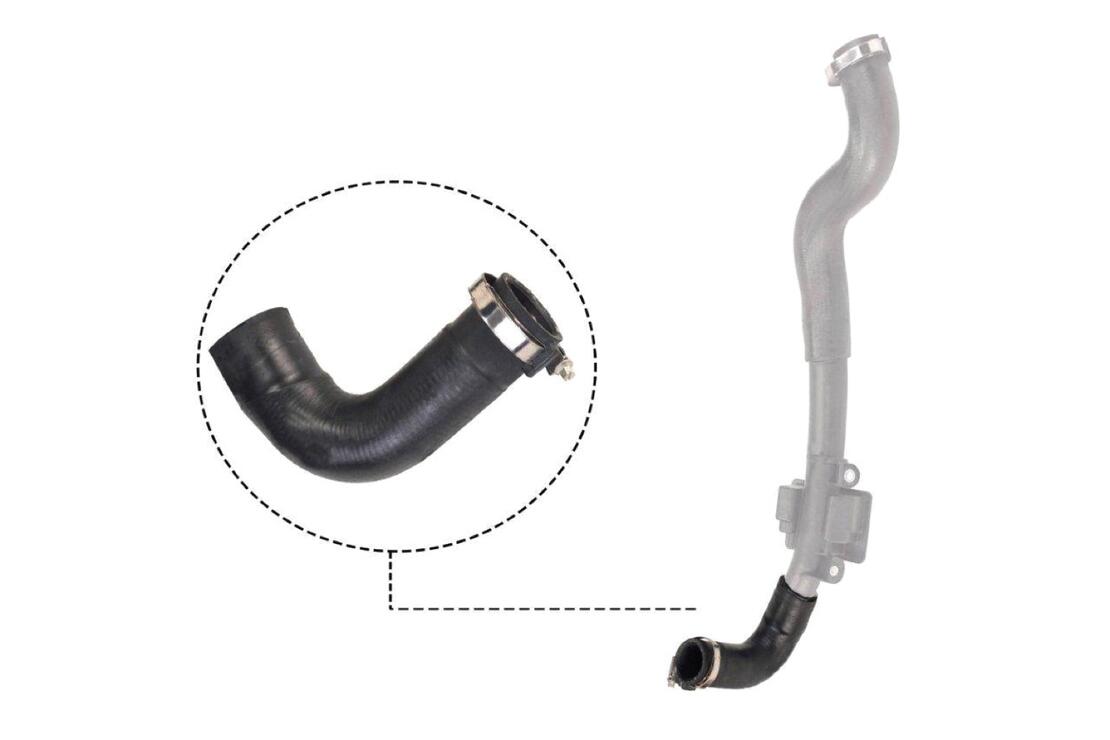 VAICO V460828 Charge Air Hose | ML Performance Car Parts