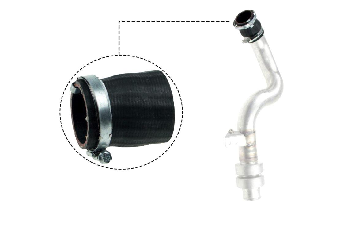 VAICO V480192 Charge Air Hose | ML Performance Car Parts