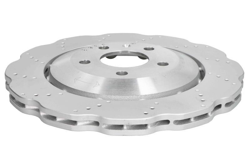 SHW ARX48231 Brake Disc