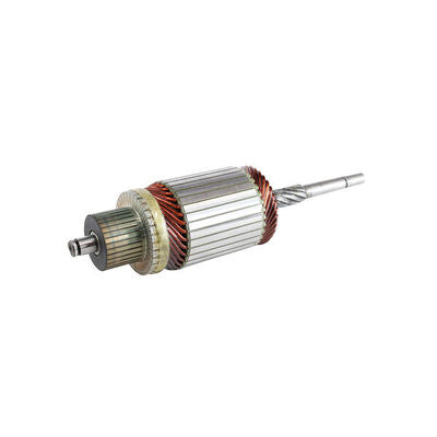 Mahle MSX116 - Armature, starter