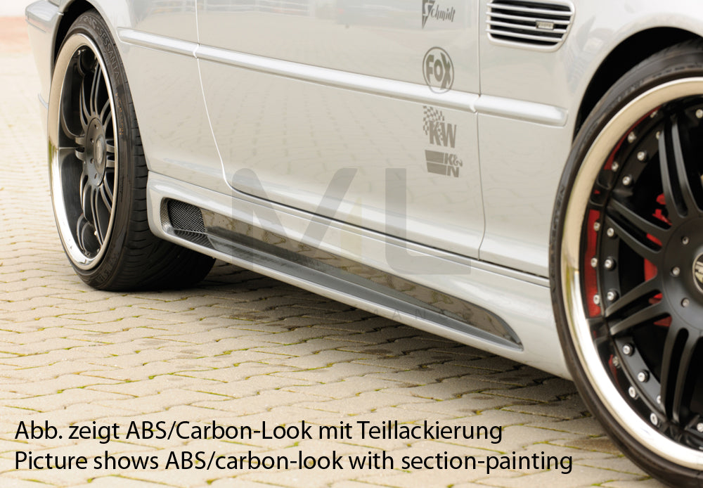 Rieger 00050246 BMW 3 Series E46 Side Skirt (Inc. M3) 1 | ML Performance EU Car Parts