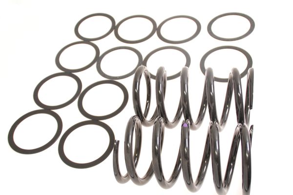 Aston Martin 23-83484 DB7 I6 Front Road Spring Kit | ML Performance EU Car Parts