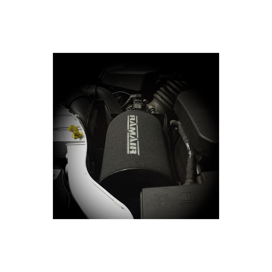 RAMAIR RPF-1869 FORD FOCUS C-MAX MK 1 1.8 TDCI (05/07 - 08/10) PANEL FILTERS | ML Performance EU Car Parts