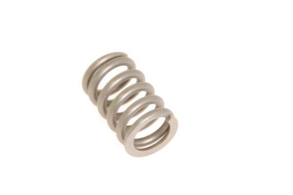 Aston Martin 4G43-5F264-AA Rear Box Spring | ML Performance EU Car Parts