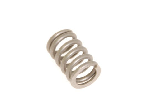 Aston Martin 4G43-5F264-AA Rear Box Spring | ML Performance EU Car Parts