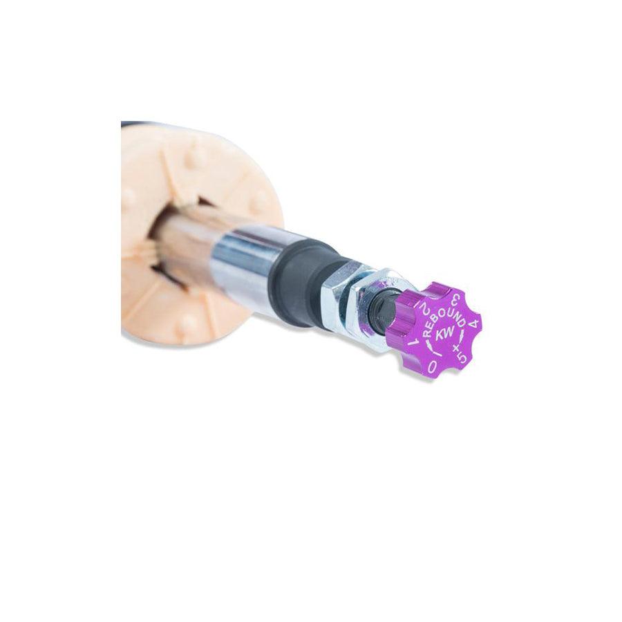 KW 35230079 Ford Mustang Variant 3 Coilover Kit 7 | ML Performance EU Car Parts