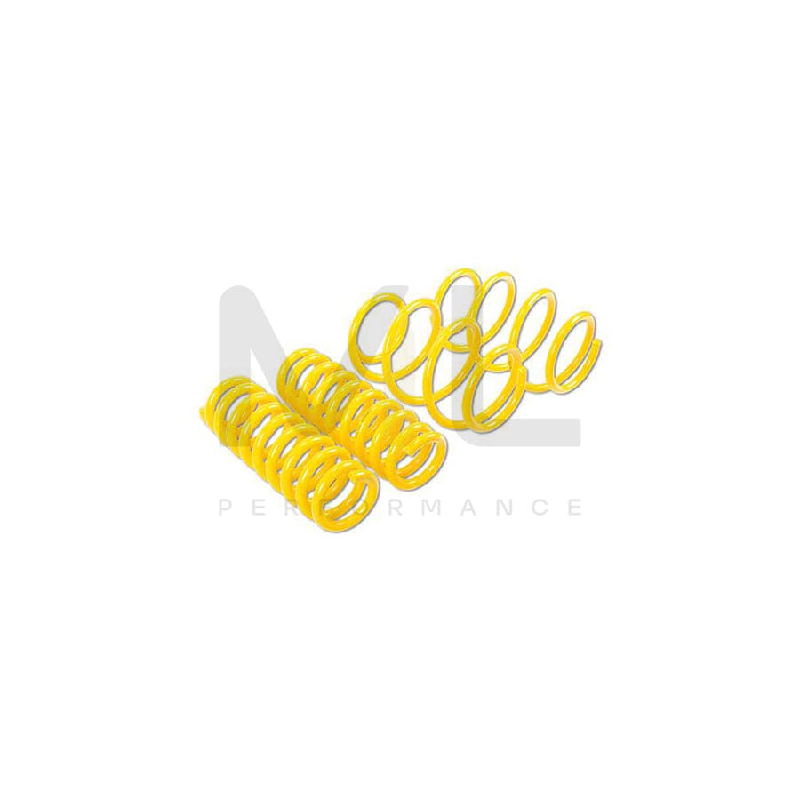 ST Suspensions 28290084 Renault Twingo II SPORT SPRINGS 3 | ML Performance EU Car Parts