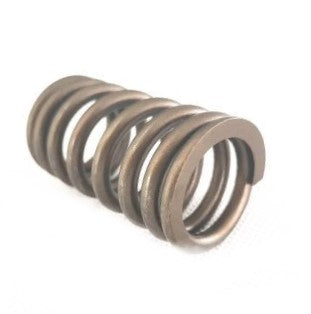 Genuine BMW 11347523971 E81 E90 F01 F30 11347523971 Valve Spring (Inc. 130i, 335i, 535ix & 740i)