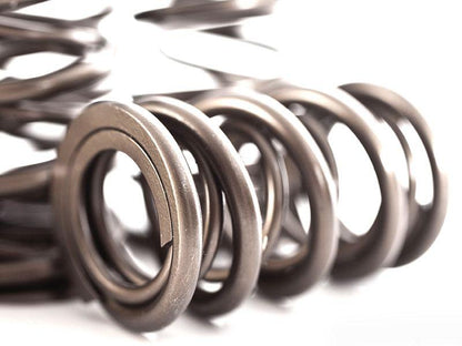 Integrated Engineering Audi Volkswagen 1.8T 20V Valve Spring/Retainer Kit (A4, A6, Golf & Jetta)