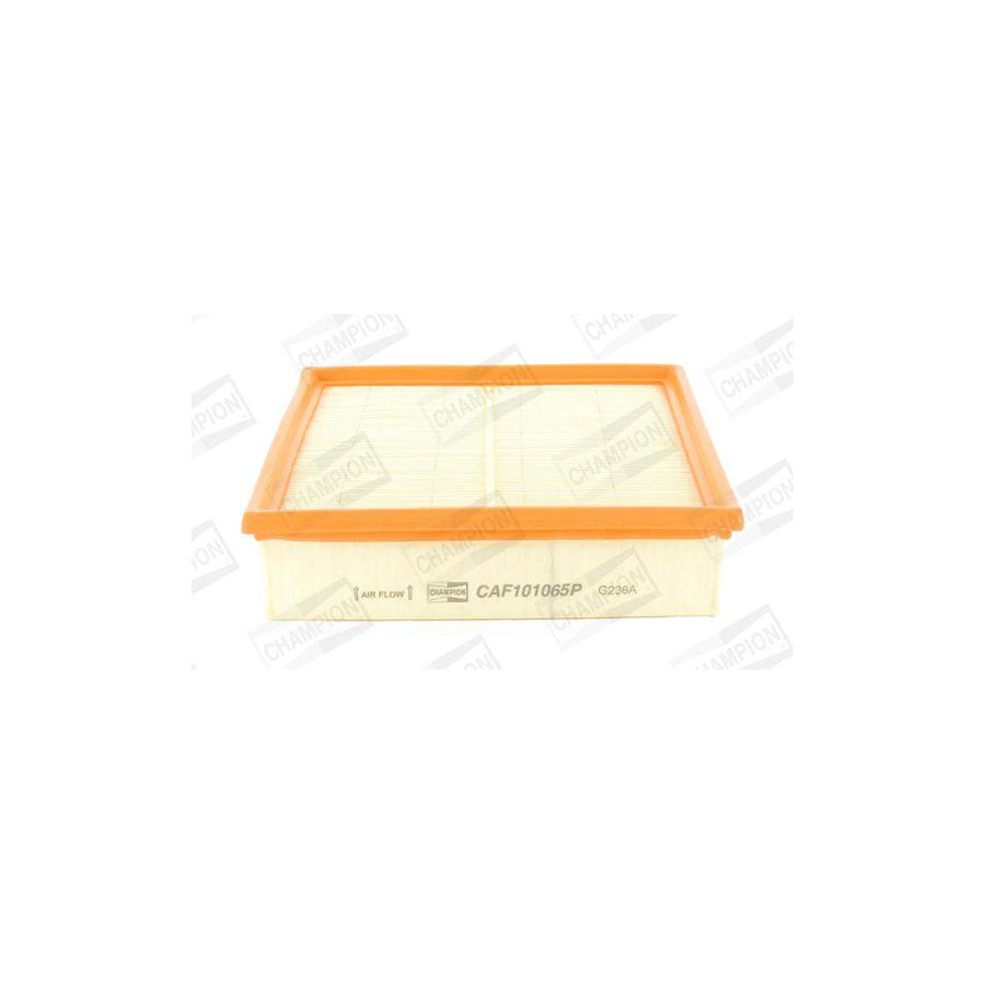 Champion CAF101065P Air Filter