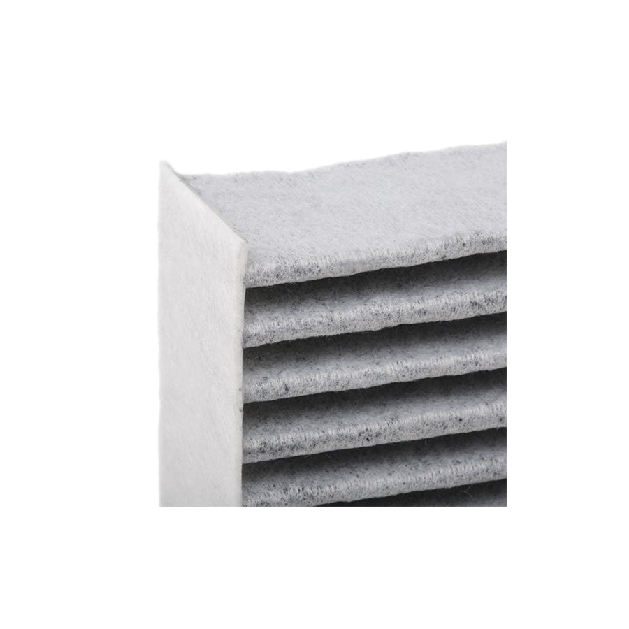 Champion CCF0320C Pollen Filter